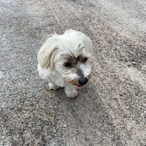 Meet your Posher, Mark